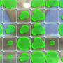 Spill "Splashback"!